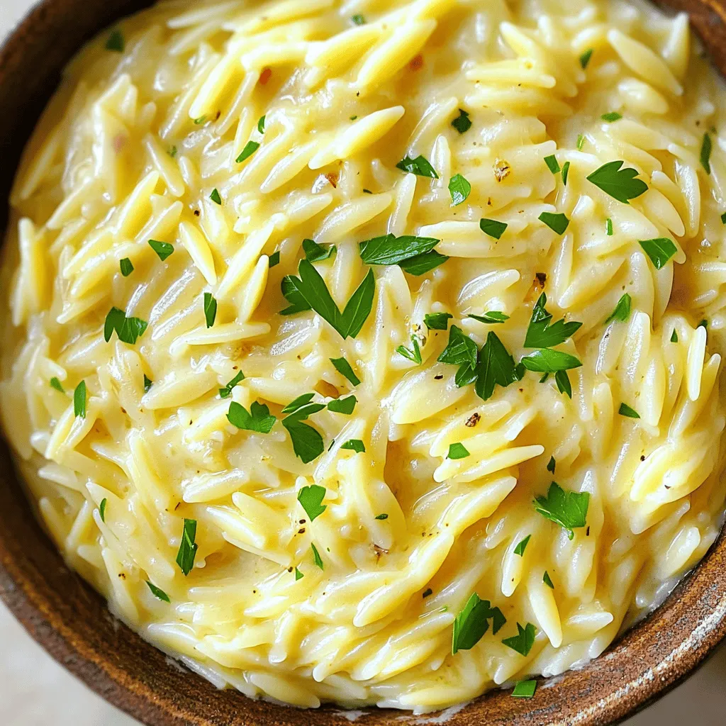Creamy Garlic Parmesan Orzo Delightful and Simple Meal