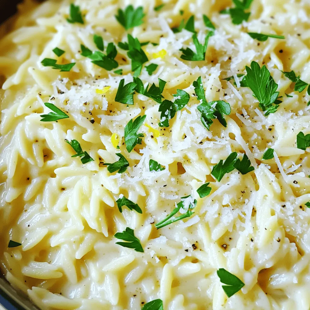 Creamy Garlic Parmesan Orzo Delightful Pasta Dish