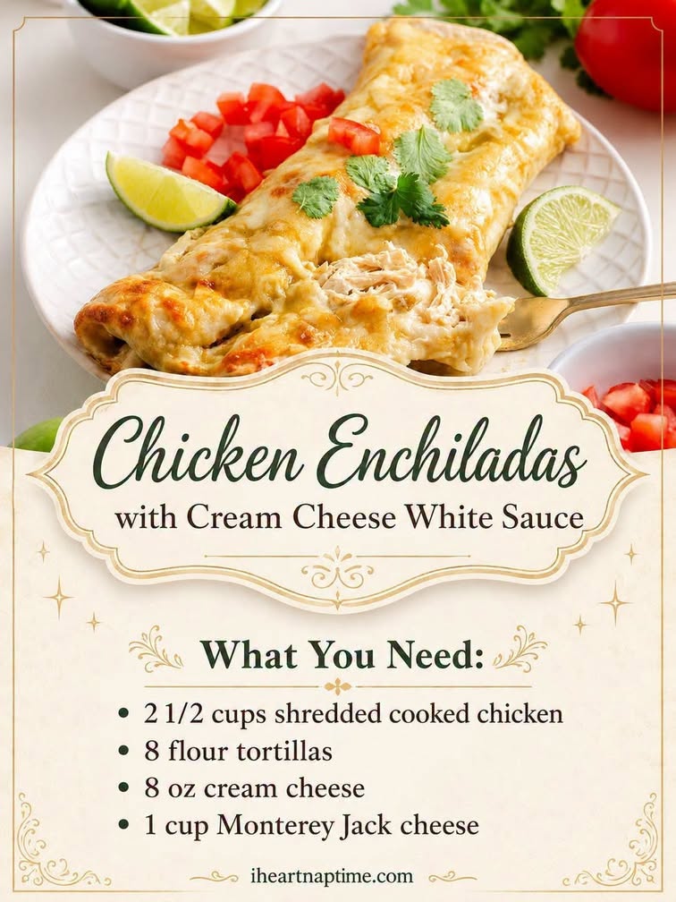 Delicious Chicken Enchiladas with Cream Cheese Sauce